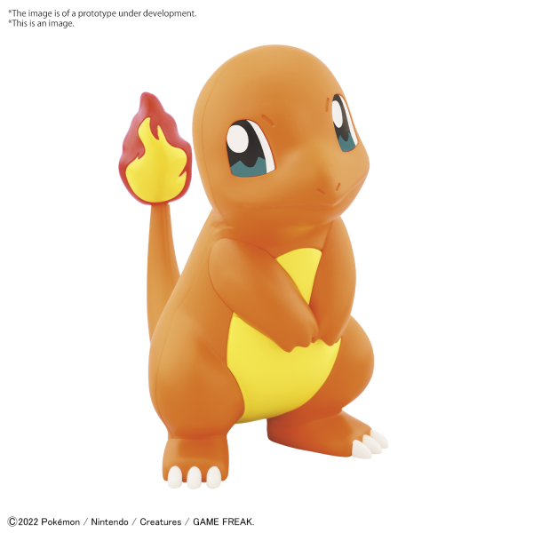 Pokemon Model Kit QUICK!! 11 CHARMANDER